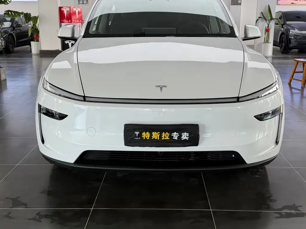 Tesla Model Y — фото 5