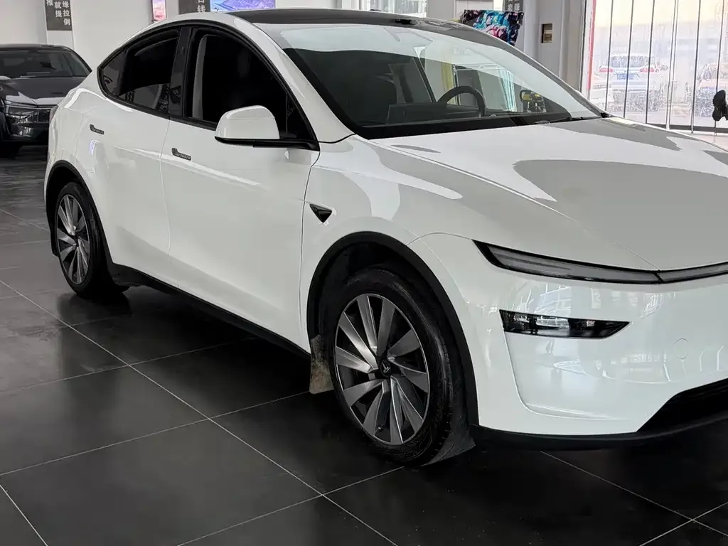 Tesla Model Y — фото 10