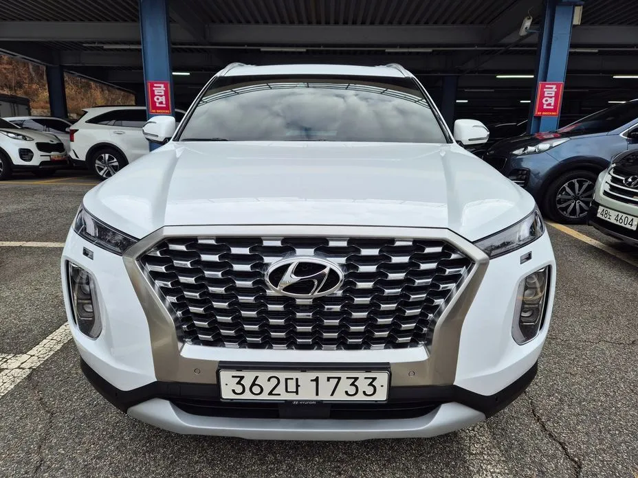 Hyundai Palisade — фото 1