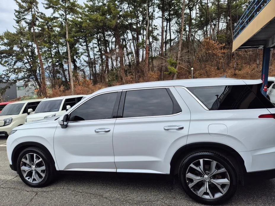 Hyundai Palisade — фото 3