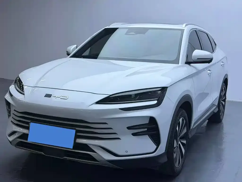 BYD PLUS New Energy — фото 1