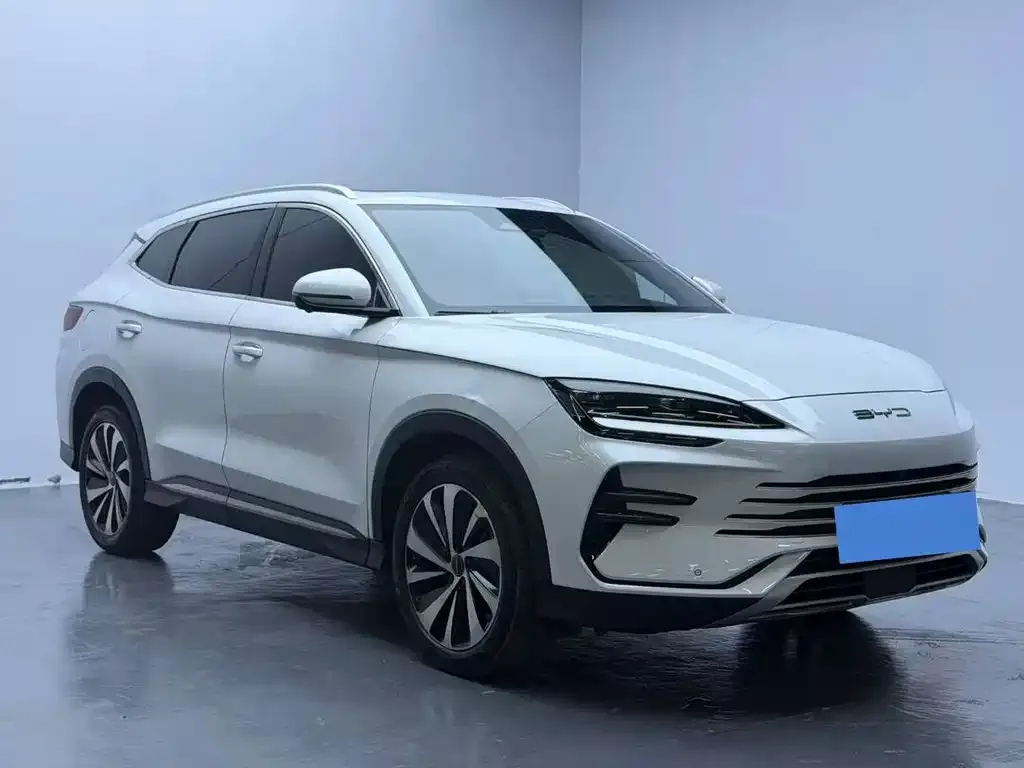 BYD PLUS New Energy — фото 3
