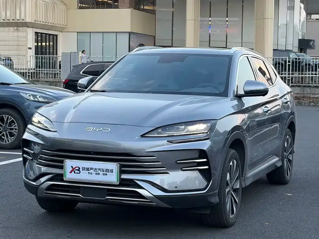 BYD PLUS New Energy — фото 1