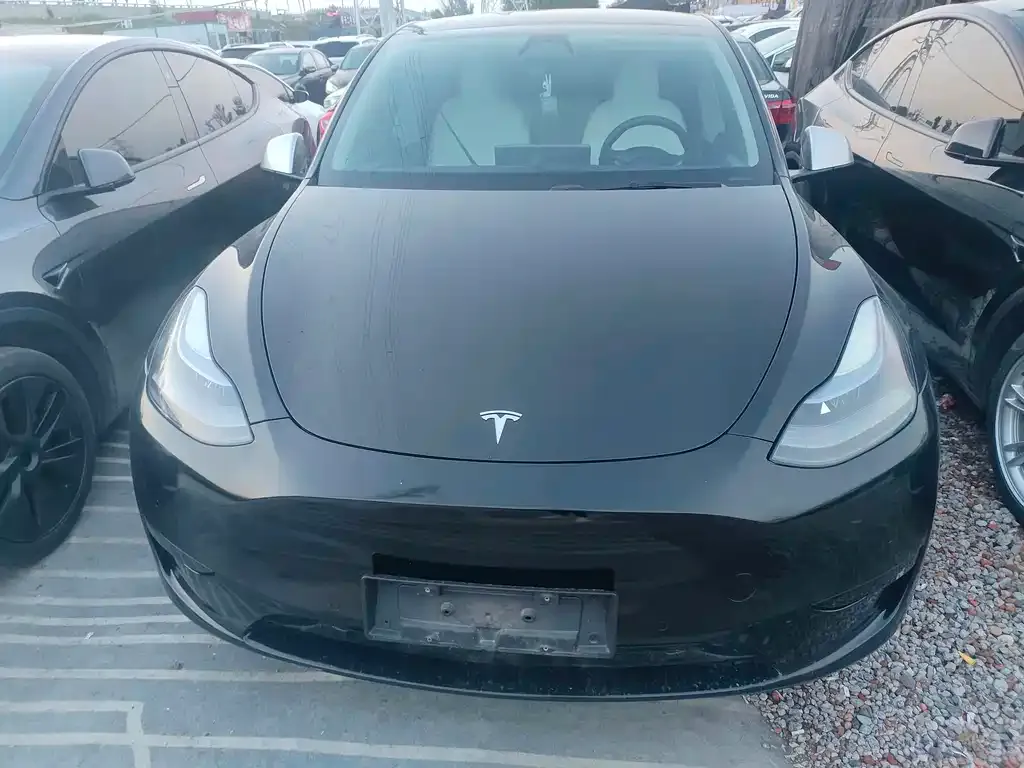 Tesla Model Y — фото 9