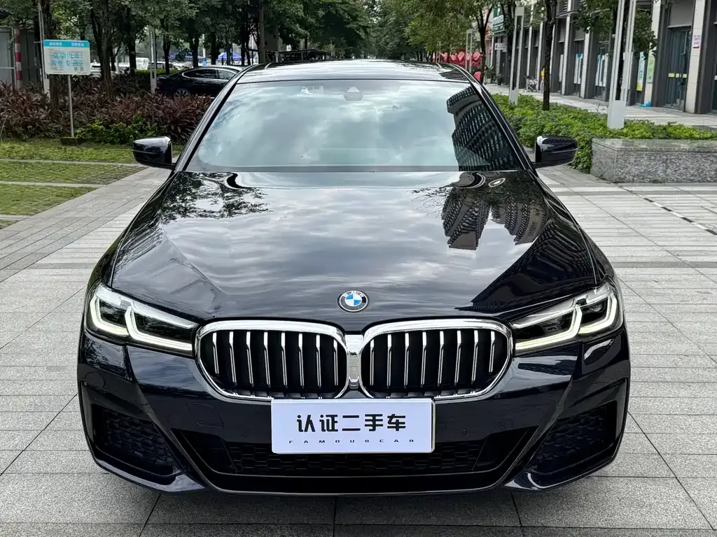 BMW 5 Series (Import) — фото 6