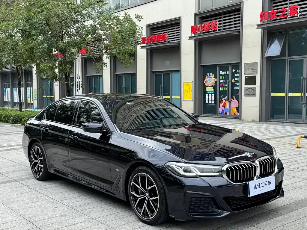 BMW 5 Series (Import) — фото 10