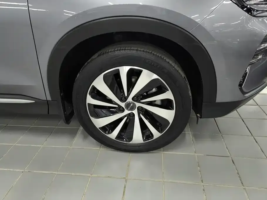 BYD PLUS New Energy — фото 2
