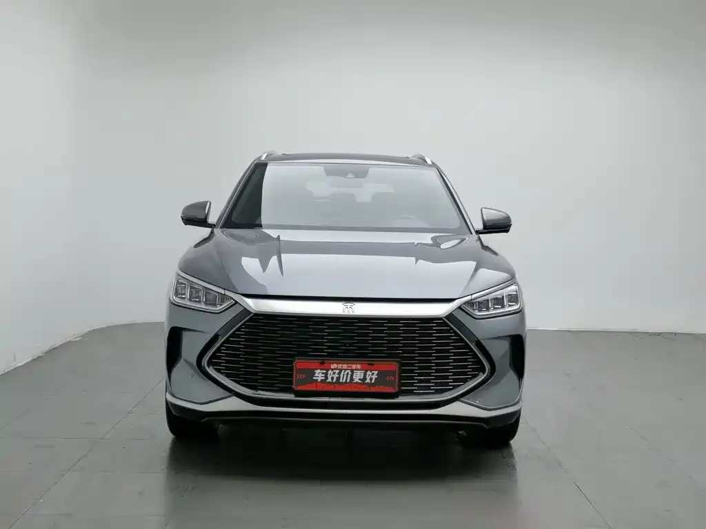 BYD PLUS New Energy — фото 2