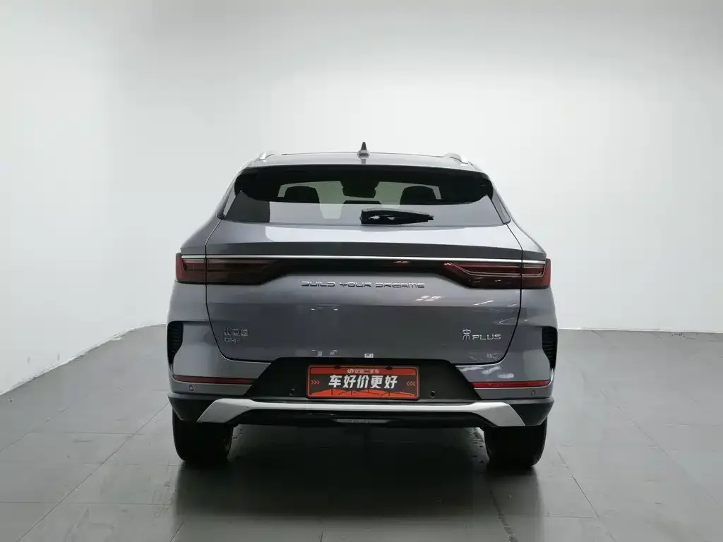 BYD PLUS New Energy — фото 8