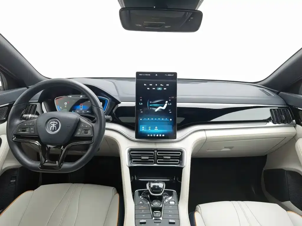 BYD PLUS New Energy — фото 10