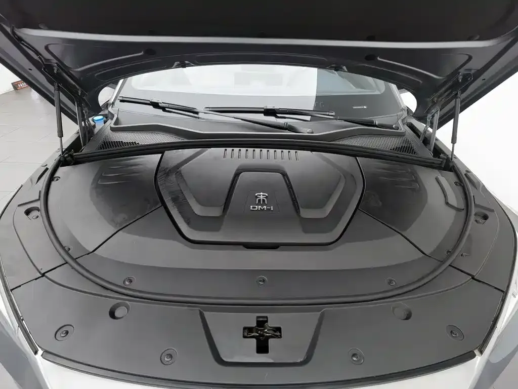 BYD PLUS New Energy — фото 6