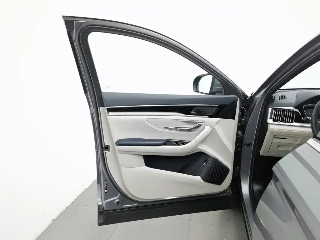 BYD PLUS New Energy — фото 3
