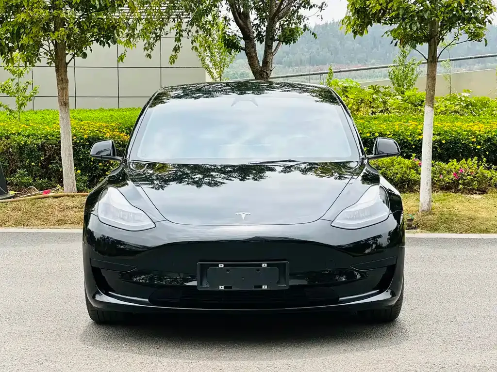 Tesla Model 3 — фото 9