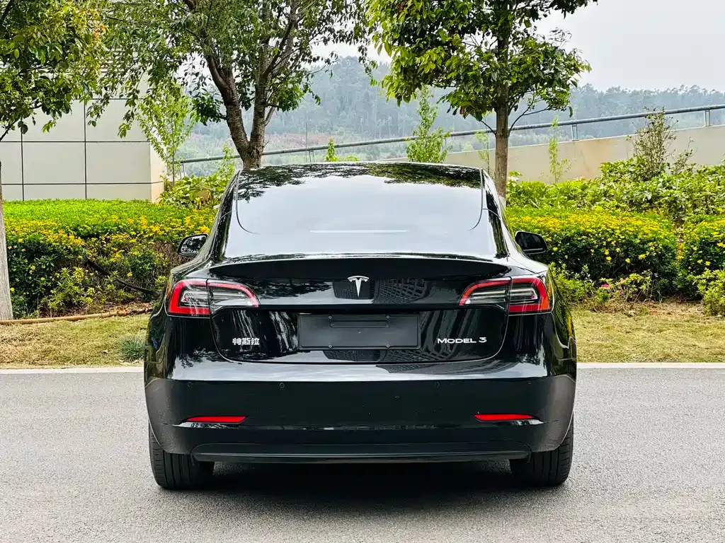 Tesla Model 3 — фото 4
