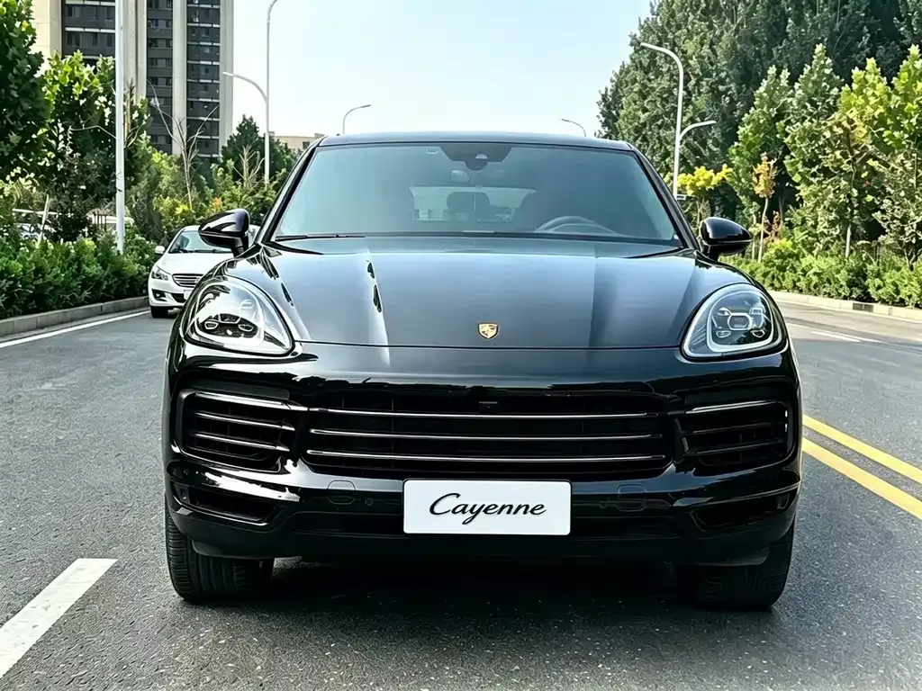 Porsche Cayenne — фото 8