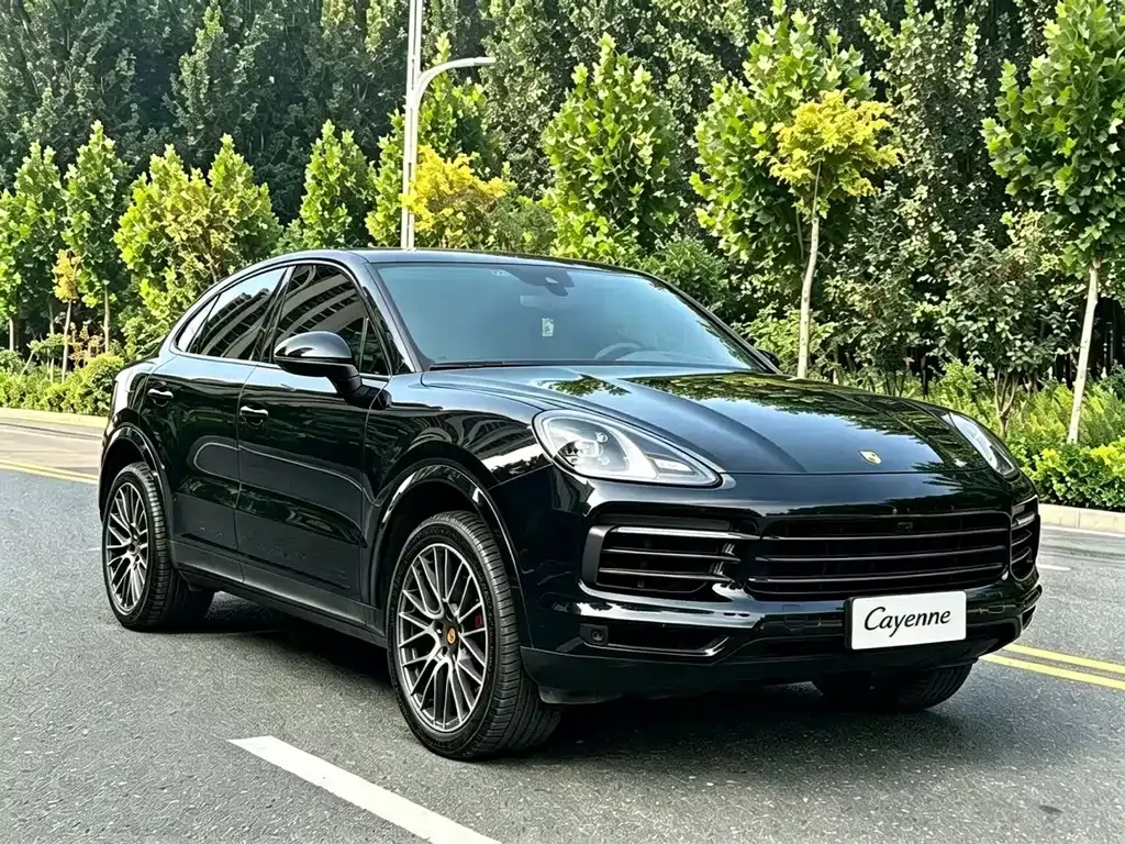 Porsche Cayenne — фото 10