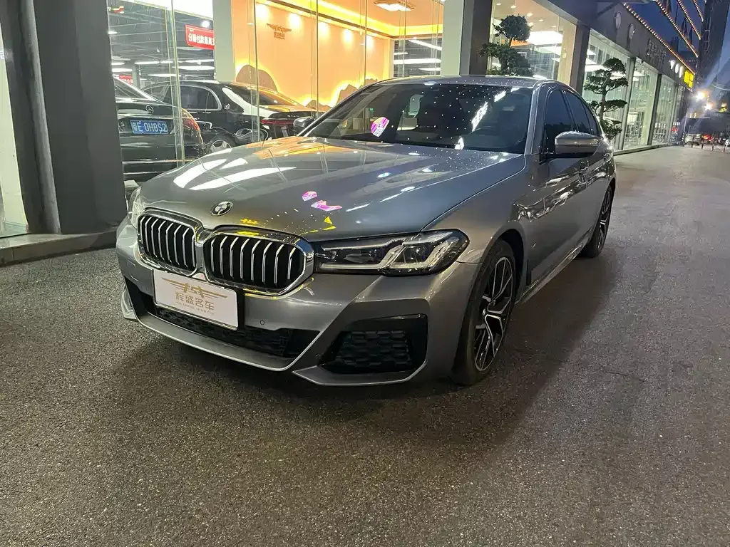 BMW 5 Series (Import) — фото 1