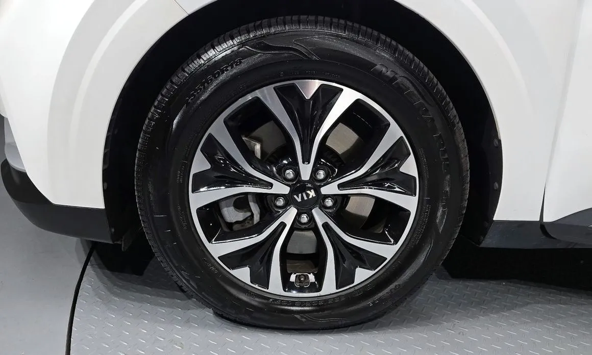 Kia Carnival — фото 10