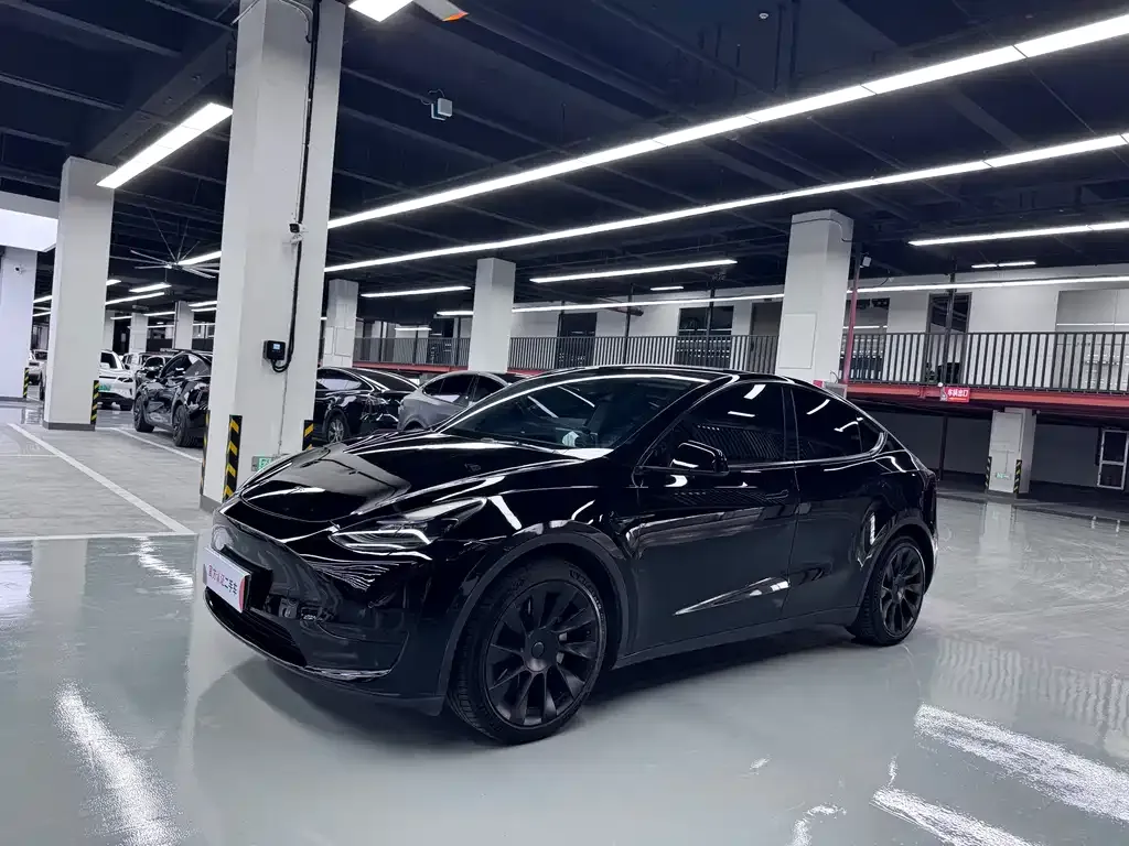 Tesla Model Y — фото 6