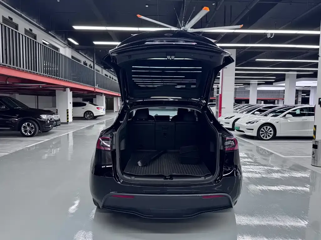 Tesla Model Y — фото 9