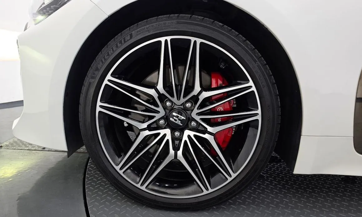 Kia Stinger — фото 10