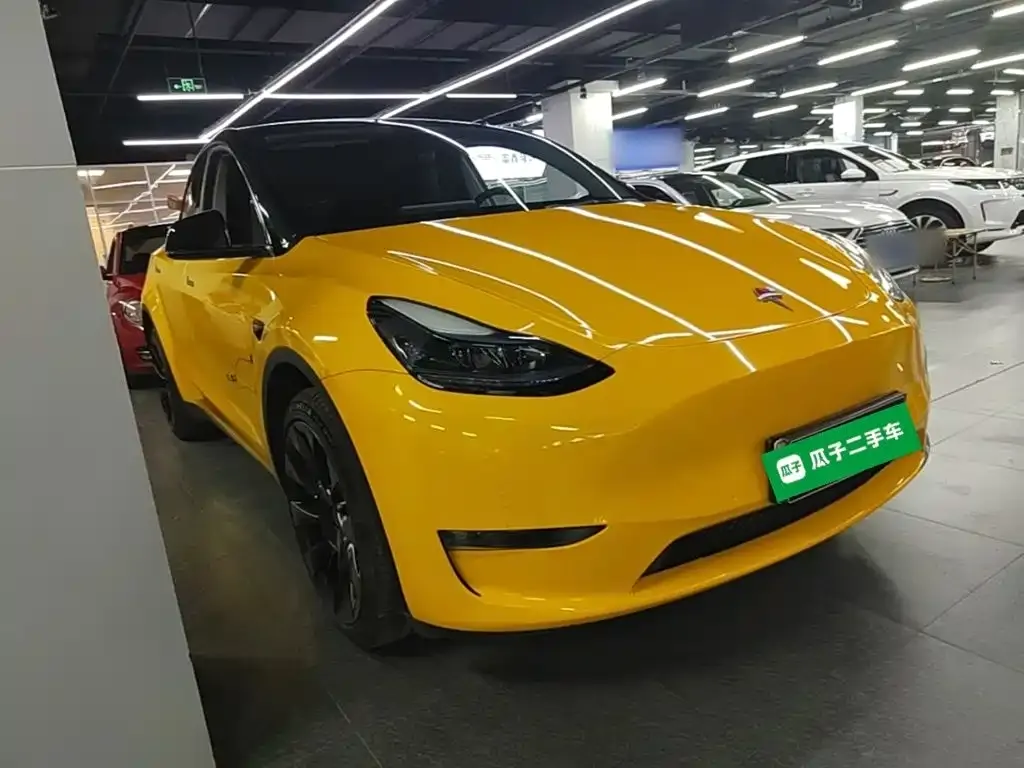 Tesla Model Y — фото 9