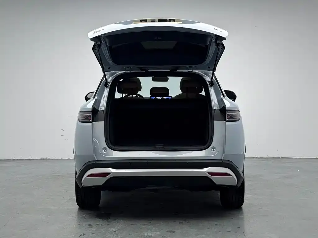 BYD L DM-i — фото 4