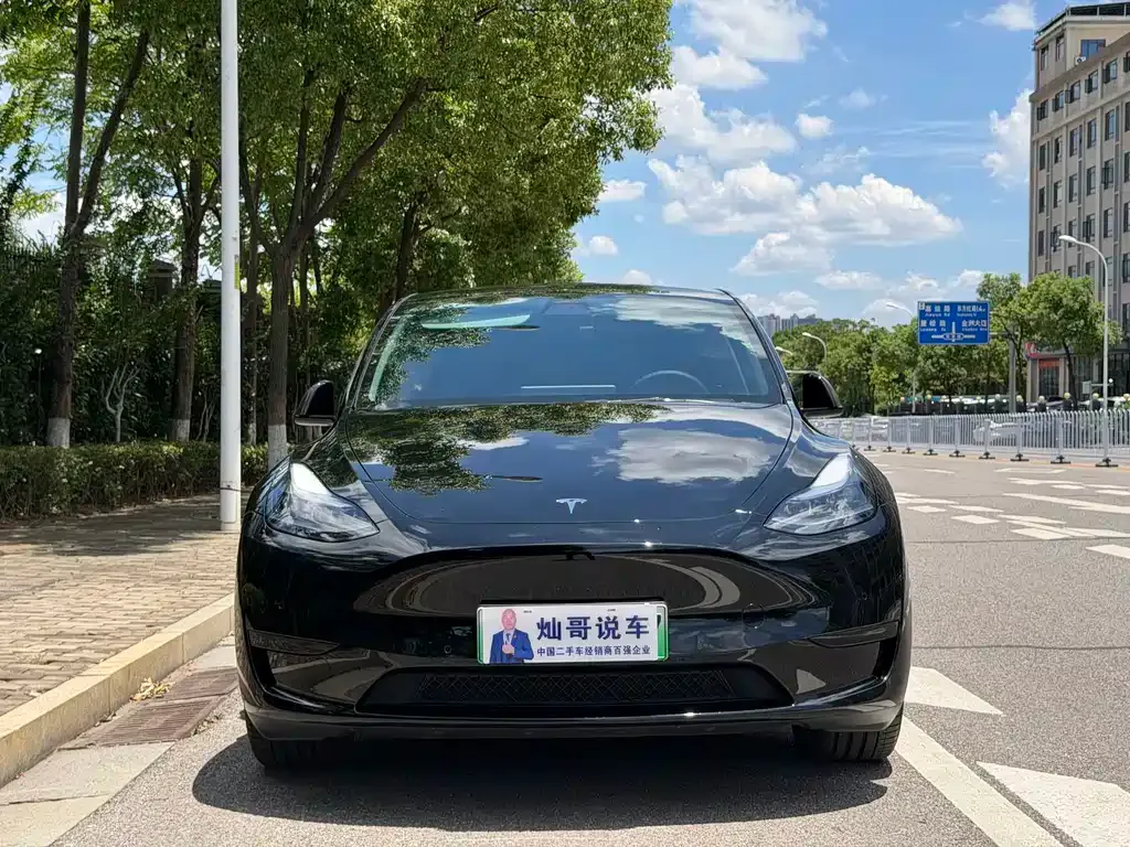 Tesla Model Y — фото 6