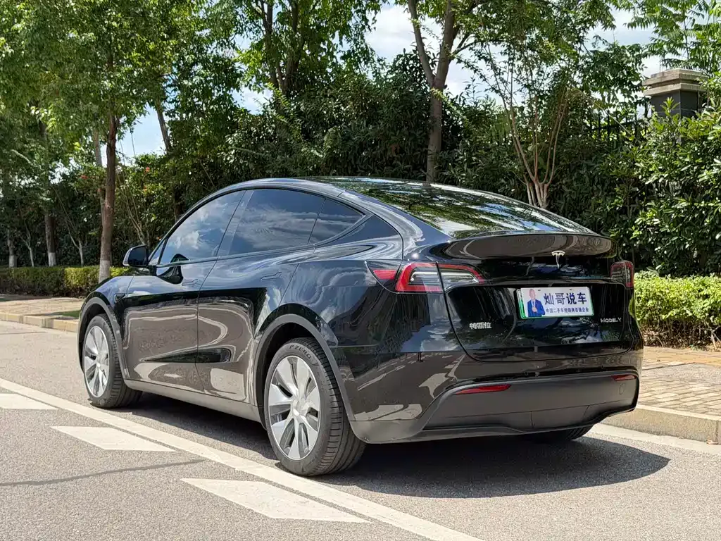 Tesla Model Y — фото 10