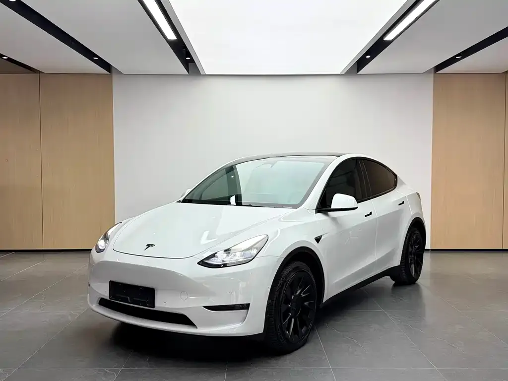Tesla Model Y — фото 1