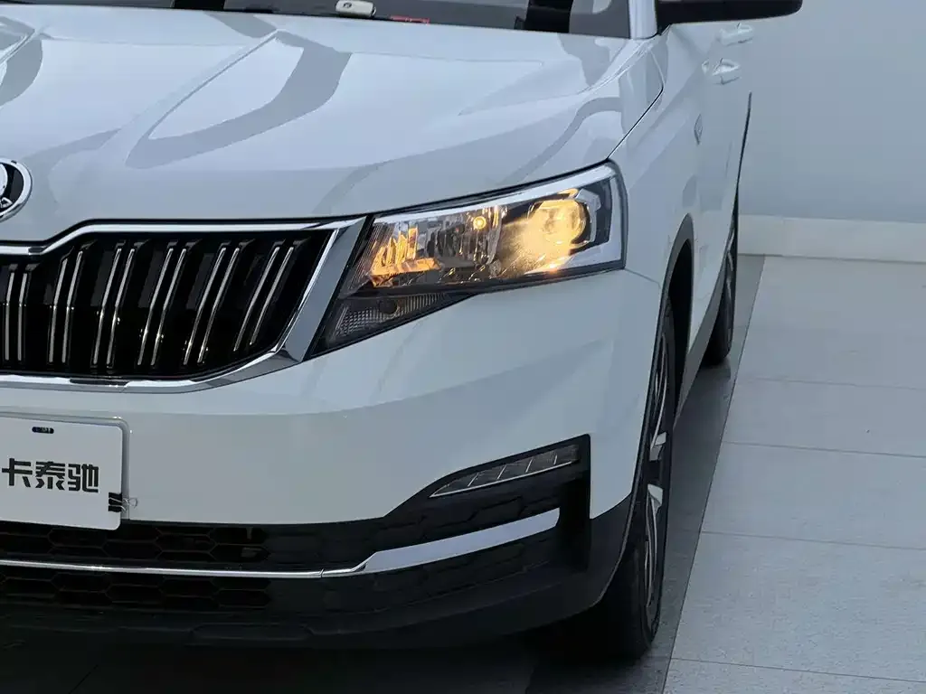 Skoda Kamiq — фото 7