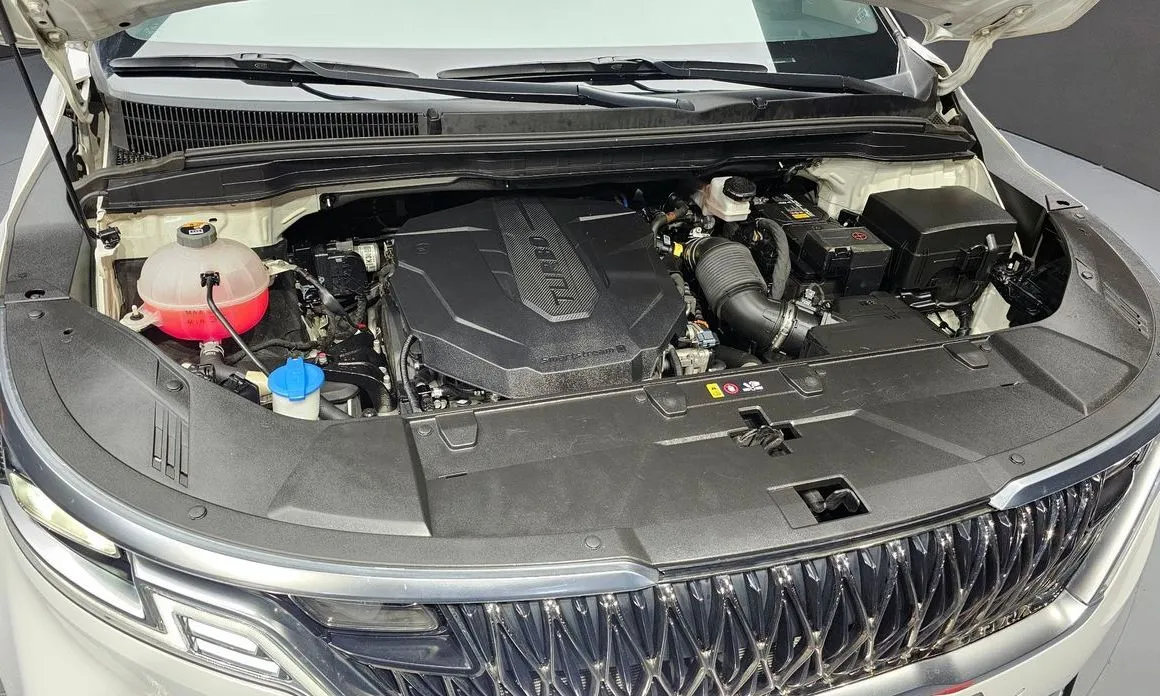 Kia Carnival — фото 10