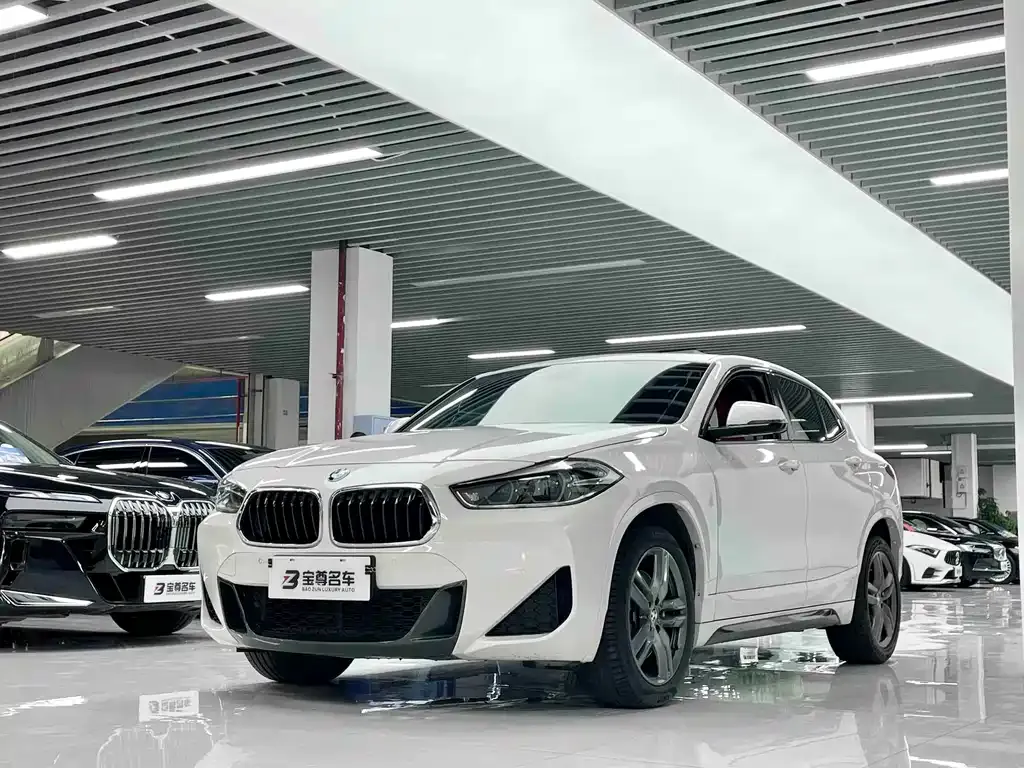 BMW X2 — фото 1