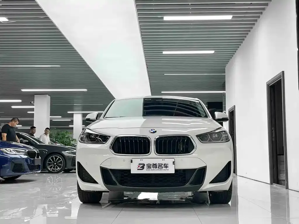 BMW X2 — фото 2