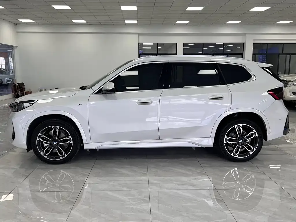 BMW X1 — фото 8