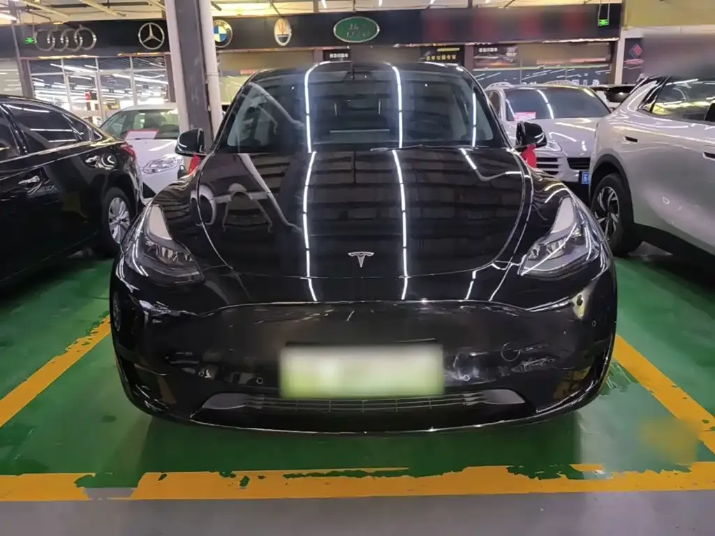 Tesla Model Y — фото 2