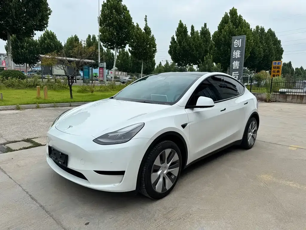 Tesla Model Y — фото 1