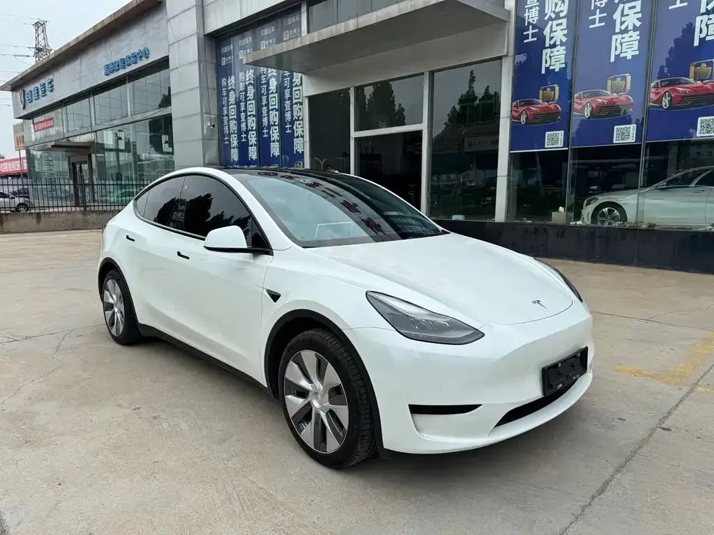 Tesla Model Y — фото 3