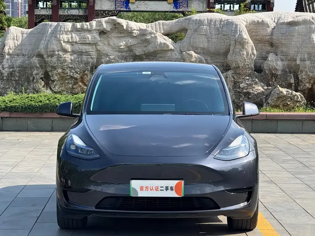 Tesla Model Y — фото 2