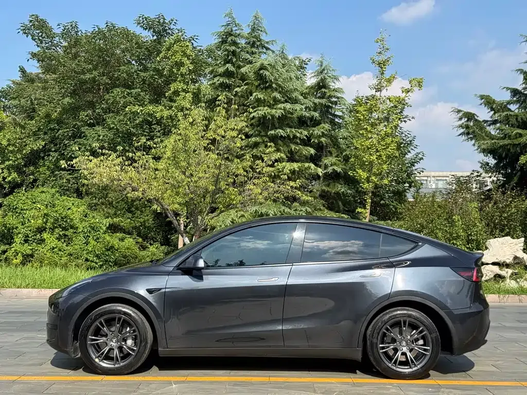 Tesla Model Y — фото 9