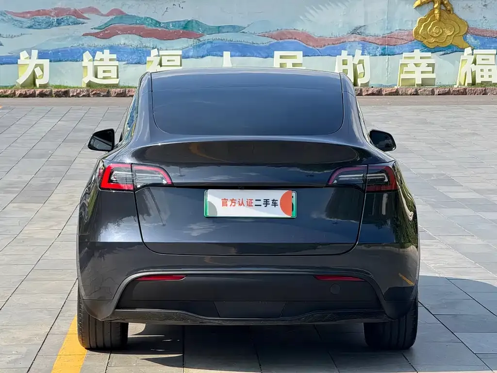 Tesla Model Y — фото 3
