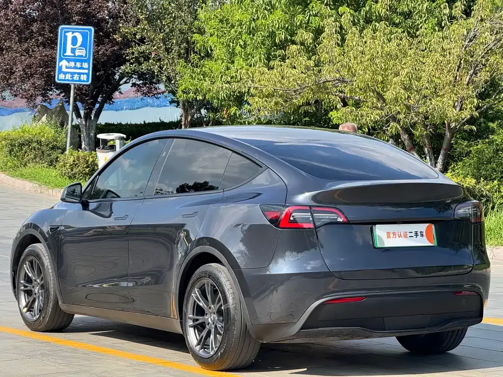 Tesla Model Y — фото 10