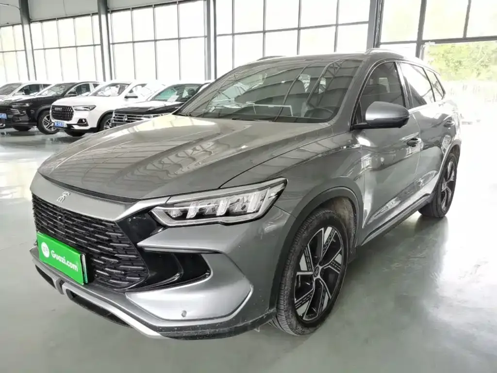BYD Pro New Energy — фото 7