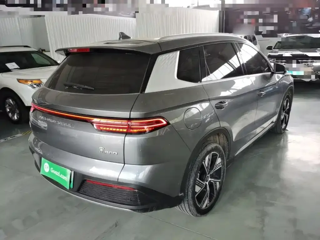 BYD Pro New Energy — фото 9