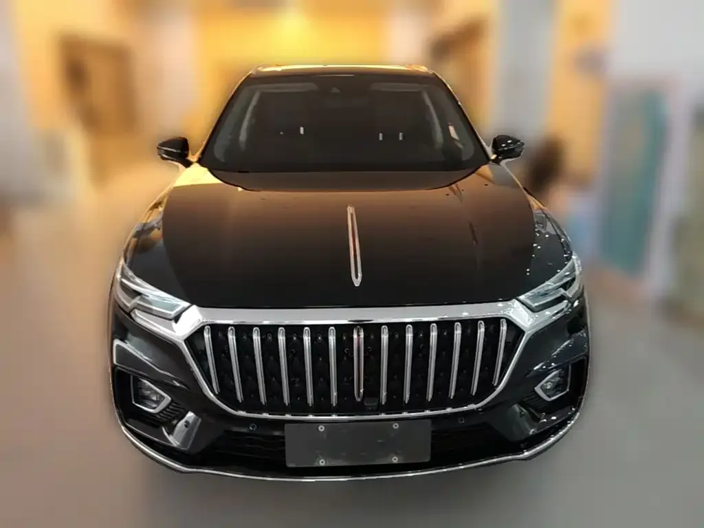 Hongqi HS5 — фото 10