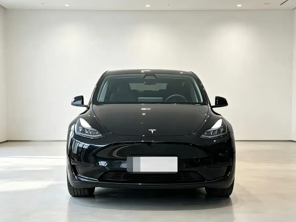 Tesla Model Y — фото 5