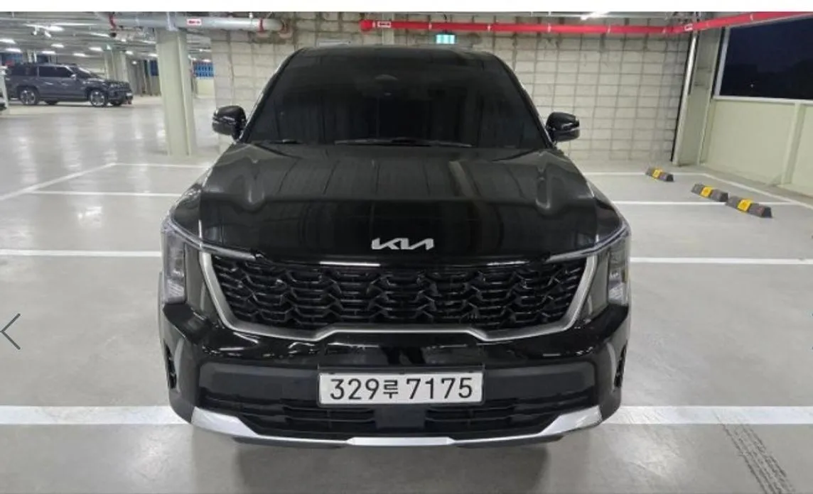 Kia Sorento — фото 8