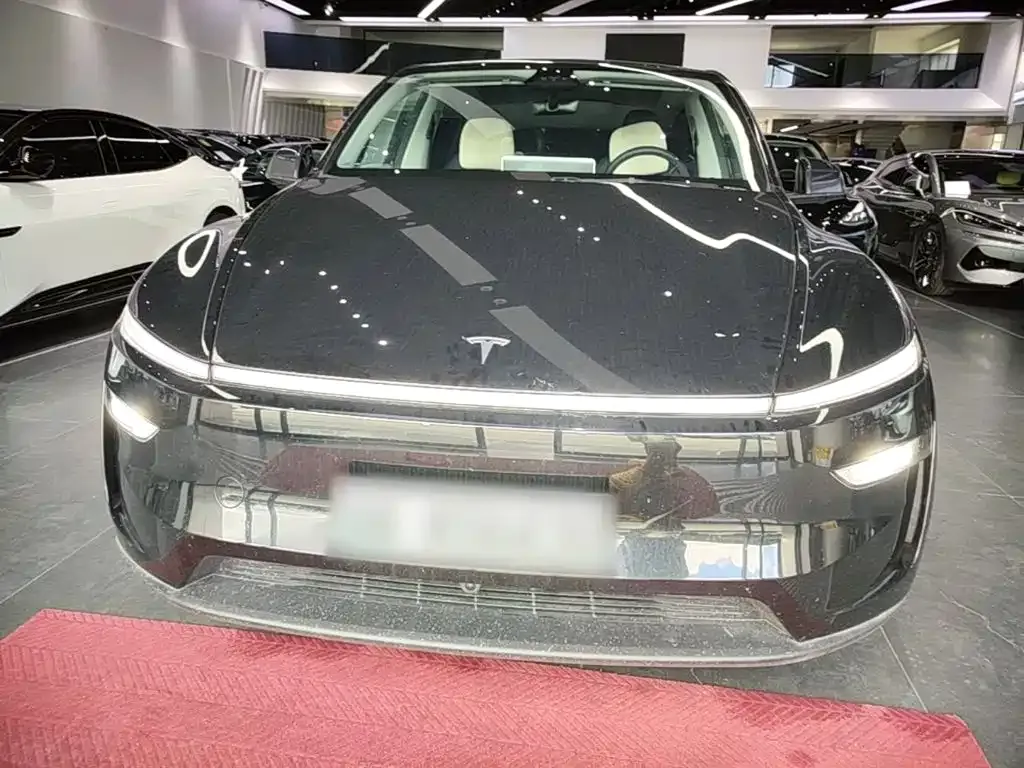 Tesla Model Y — фото 8