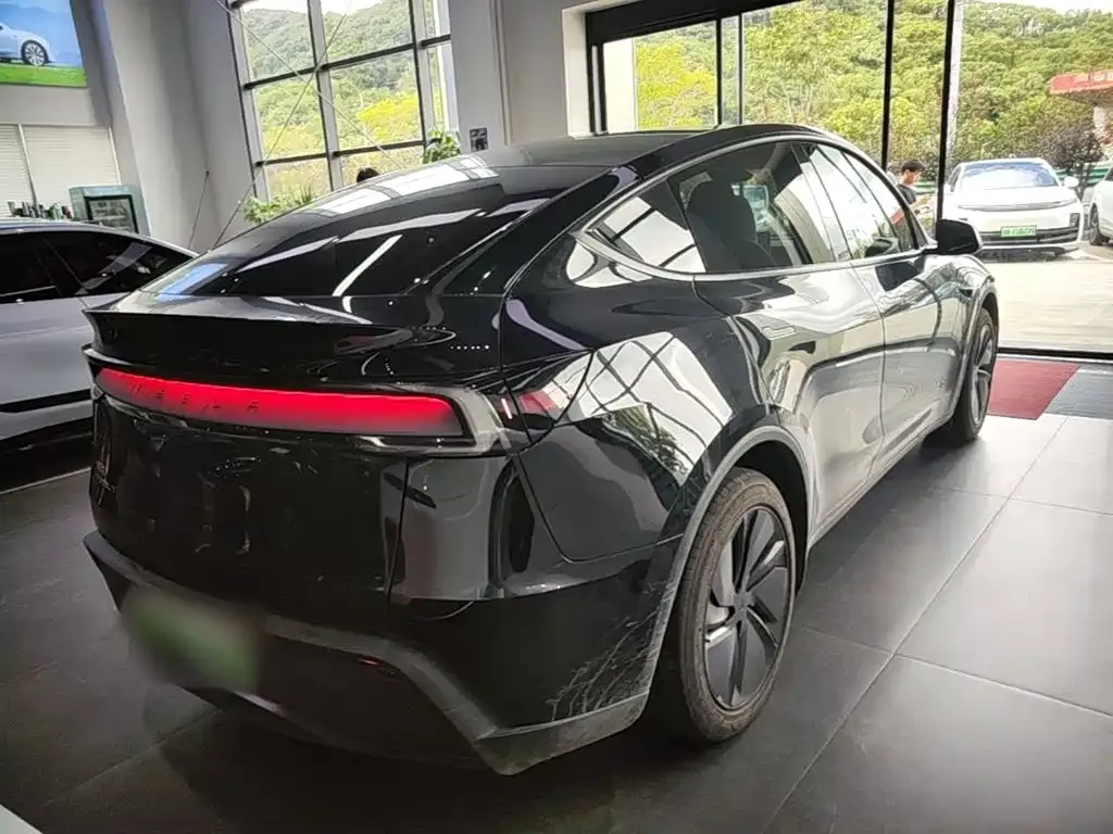 Tesla Model Y — фото 10