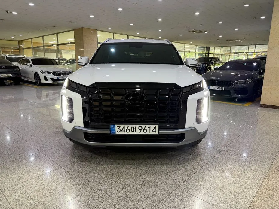 Hyundai Palisade — фото 9